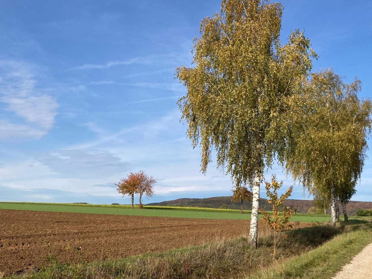 Ferienwohnung Franken Hallerndorf Buitenkant foto